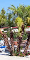 Vox Maris Grand Resort