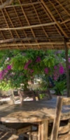 Milele Villas