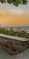 Coco Beach