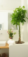 Live In Athens -Psyrri Central Apartments