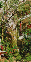 OASIS APARTMENTS