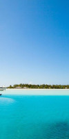 Cinnamon Hakuraa Huraa