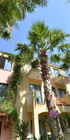 MONTEBELLO DELUXE