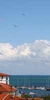 Panorama (St. Vlas) 3*