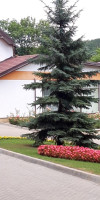 HOTEL CIRIC 