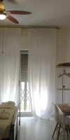 Gatto Bianco