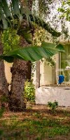 CHARM BEACH HOTEL