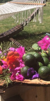 PITOS BUNGALOWS