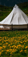 Ursa Mica Glamping Resort