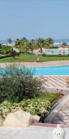 Gravity Sahl Hasheesh