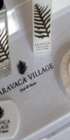 HOTEL ARAVACA VILLAGE