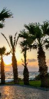 LOUIS PAPHOS BREEZE