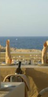 DELPHIN EL HABIB