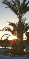 CORALLIA BEACH HOTEL APARTMENTS