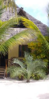 The Seles Boutique