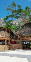 Nest Style Beach Zanzibar