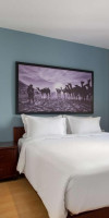 Marina Resort Port Ghalib a member of Radisson Individuals