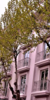 INNOVA SULTANAHMET HOTEL