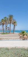 PACIFICO PLAYA IN M LAGA