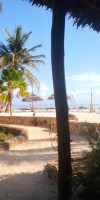 Mambo Ocean Resort