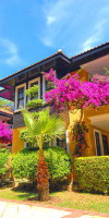 Club Dizalya