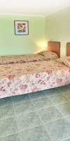 Malibu (Albena) 4*