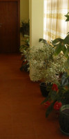 Ivel  (Bansko) 3*