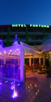 FORTUNA