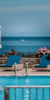 Blue Jasmine