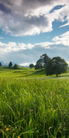 Pietele de Craciun din Bavaria