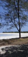 Pemba Lodge