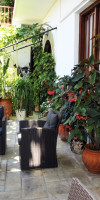 Sofia Studios