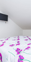 BOVOLINI#039;S PLACE
