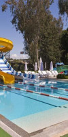DELPHIN BOTANIK HOTEL