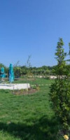Los Anghelos
