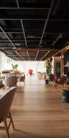 Paxton Barcelona