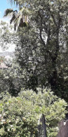 WONDERFULL VIEW TO THE ENTIRE BAY OF ZATON
