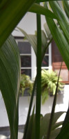 Gato Azul Coliving