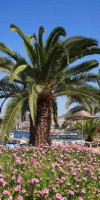 PRINCESS ARTEMISIA HOTEL