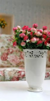 Les Jardins Carol