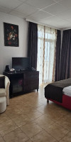 Phoenicia Royal 