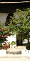 Dhown Inn Zanzibar