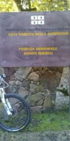 BANDB IL VIGNETO