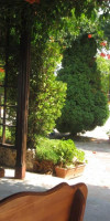 Complex Fichoza