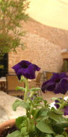Can Simo Petit Hotel
