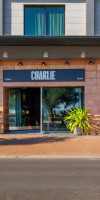 Charlie in Pesaro