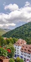 HOTEL SINAIA.