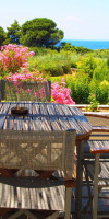 Skiathos Holidays