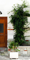 Asprolithos Studios