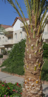 GOLDEN BEACH HURGHADA RESORT